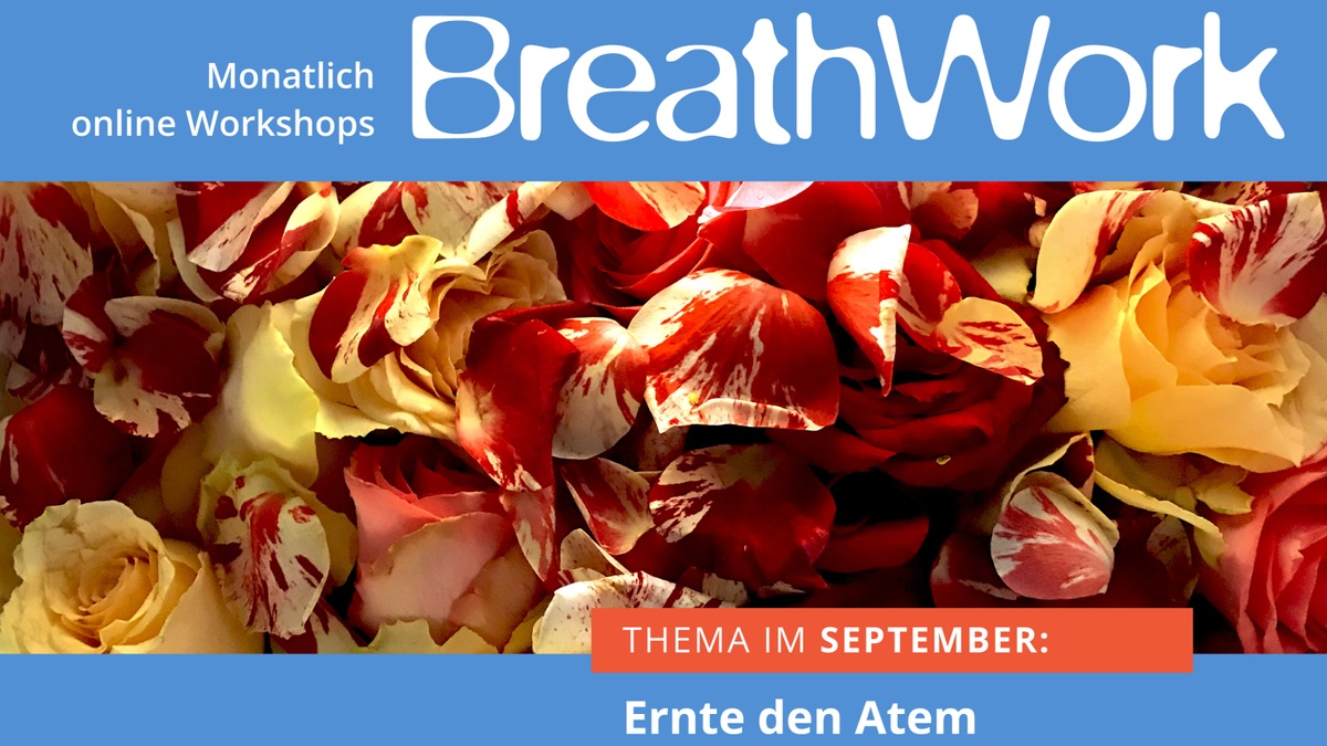 BREATHWORK 2026