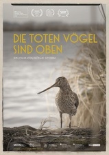 Film & Gespräch: DIE TOTEN VÖGEL SIND OBEN