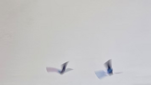 Papier in Bewegung