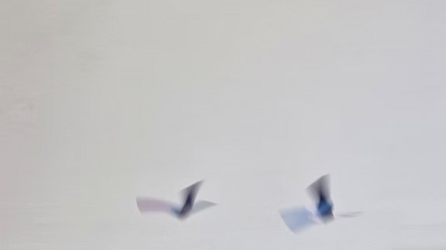 Papier in Bewegung