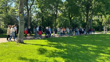Sunday Morning Forest Walk 🌳 | An Inner-Circle Gathering