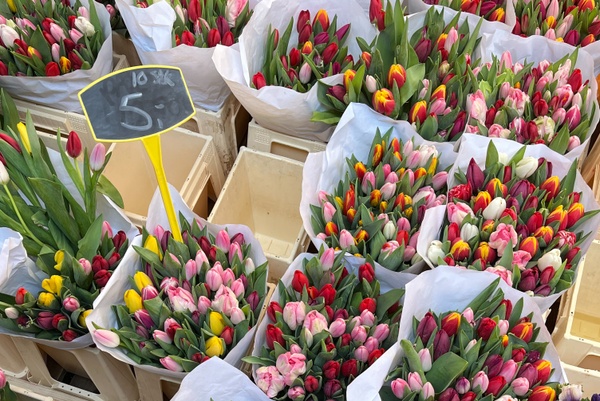 Was geht im April? Veranstaltungen in Hannover