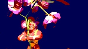 Das nie auf der Bühne getragene Kleid