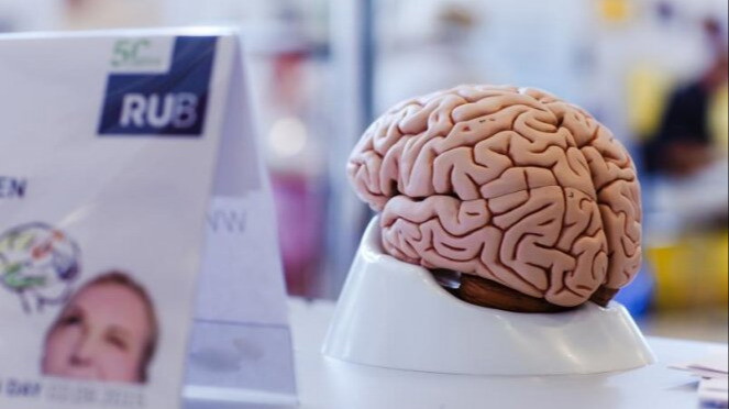 Brain Day 2026