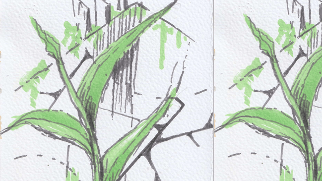 Der Garten der Zukunft - Workshop im HofGarten
