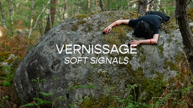 Vernissage soft signals – Ausstellungsfestival zu zeitgenössischen Sound Art Praktiken