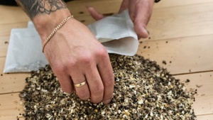 Performance von Luca Kohlmetz