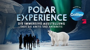 POLAR EXPERIENCE – Die Immersive Ausstellung über die Arktis und Antarktis
