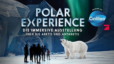 POLAR EXPERIENCE – Die Immersive Ausstellung über die Arktis und Antarktis