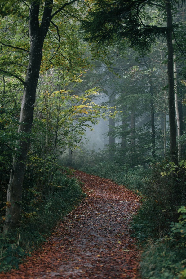 Kräherwald Stuttgart