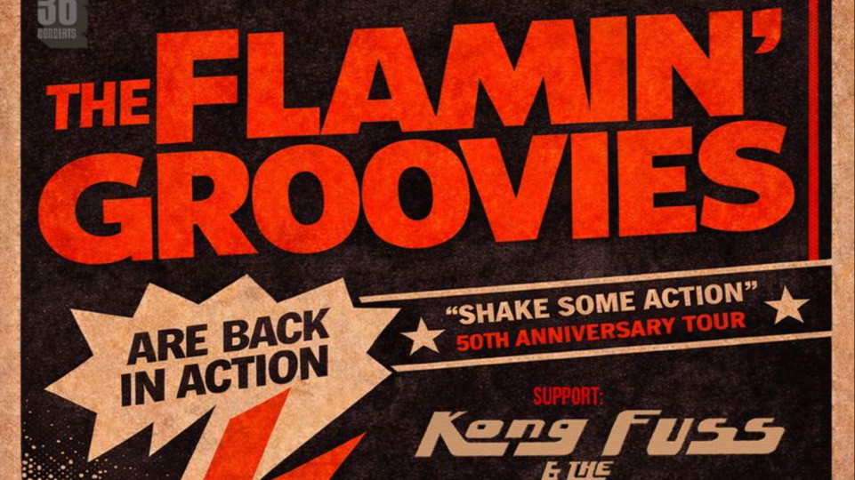 FLAMIN' GROOVIES