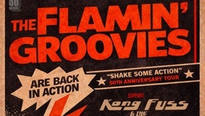 FLAMIN' GROOVIES