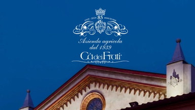 Exklusive Weindegustation mit Cà dei Frati