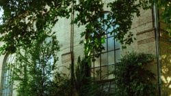 WerkWest99