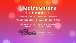 Electroamore Extended