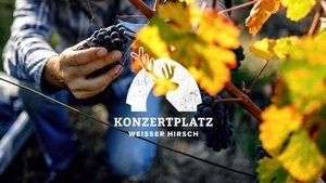 WINZER HAUTNAH - WEINVERKOSTUNG MIT 3-GÄNGE-MENÜ