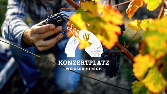 WINZER HAUTNAH - WEINVERKOSTUNG MIT 3-GÄNGE-MENÜ