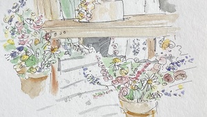 WATERCOLOR Botanicals