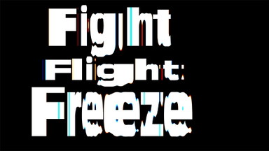 Ausstellung - FIGHT.FLIGHT.FREEZE - Matthias Ströckel