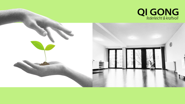 Kraftvoll in 2026 mit Qi Gong (Krankenkassenkurs)