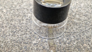 PopUp Wald: Zero Waste und Stadtnatur