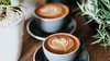 Cafe Vinyl