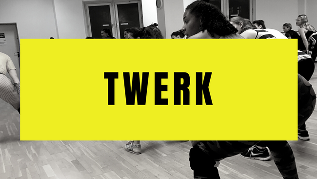 Saturday -  All Level Twerk Class