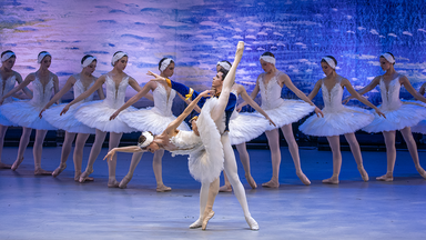 Grand Classic Ballet - Schwanensee - die traditionelle Wintertournee