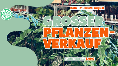 Großer Pflanzenverkauf - Köln