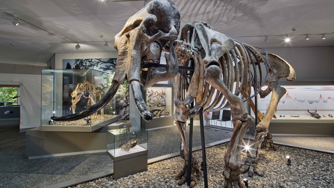 Internationaler Museumstag