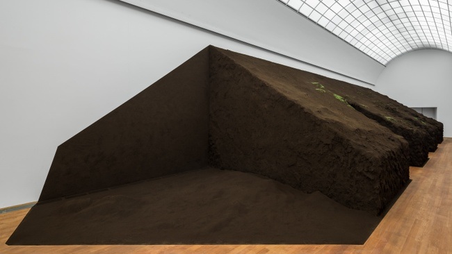 Delcy Morelos. Madre