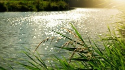 Rotter See