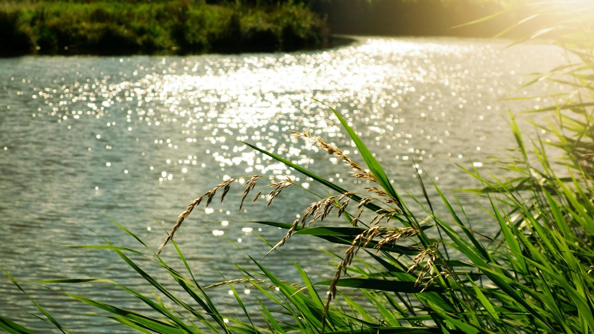Rotter See