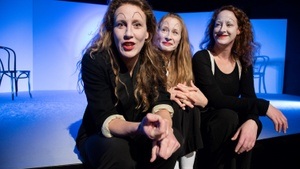 Die Vagina Monologe