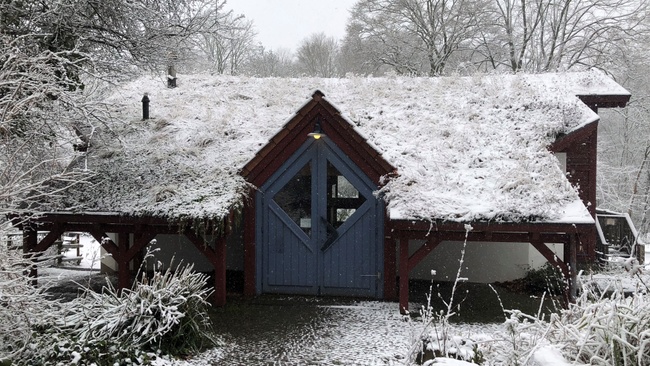 Führung über die winterliche Naturschutzinsel