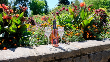 Soirée Rosé
