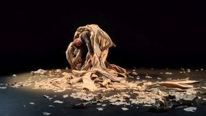 RAPT - eine Zeitgenössische Jonglage Performance