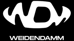 DICE X SPACE KOLLEKTIV