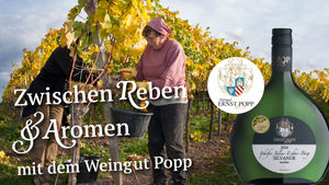 Zwischen Reben und Aromen
