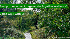 Spring Reset | Walking workshop for reconnection, regeneration & resilience