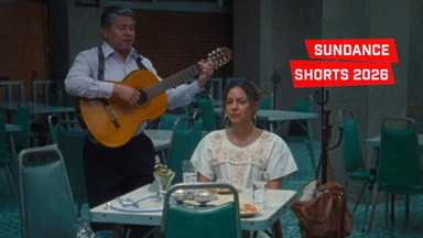 Shorts Attack 2026: Sundance Shorts