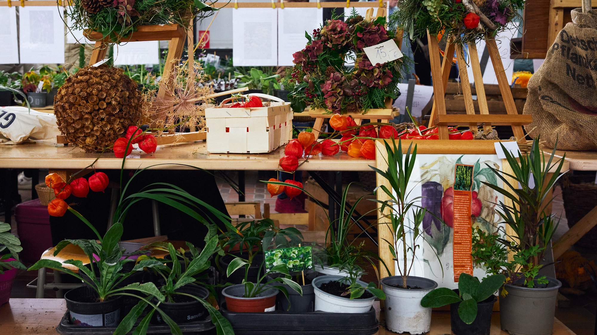 Erntemarkt (Eintritt frei!)