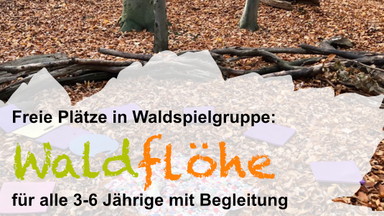 Start: Waldspielgruppe Waldflöhe ab 3 Jahren