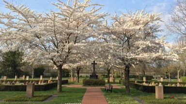 Gräber erzählen Geschichte - Der Hauptfriedhof