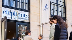 elephants Superfood Bar