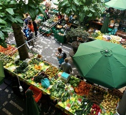 Wochenmarkt am Marktplatz und Holzmarkt