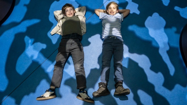 Wissensreise für Kinder - Meeressäugern auf der Spur