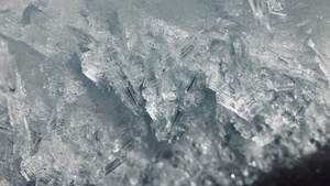 Schnee von Gestern - Vortrag