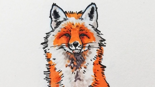 Ferienangebot: TIERE ZEICHNEN MIT MANGAELEMENTEN