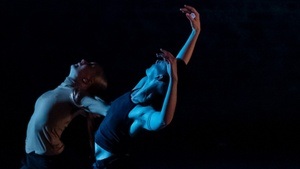 WORKSHOP: Modern Dance Fundamentals mit Antonia Aae